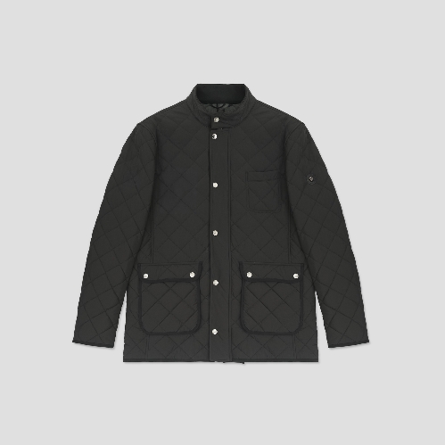 Picture of Giovane Gentile Mont / Kaban