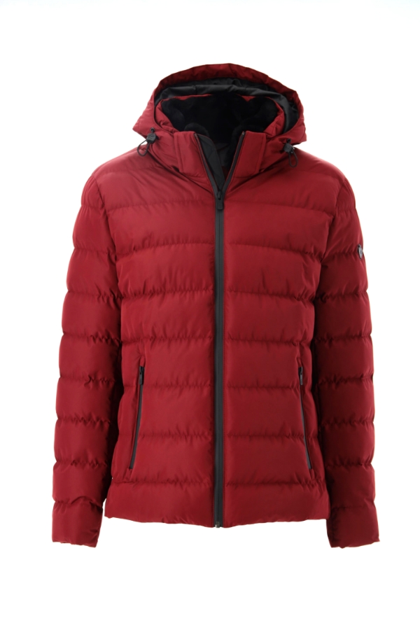 Picture of Giovane Gentile Coat Jacket