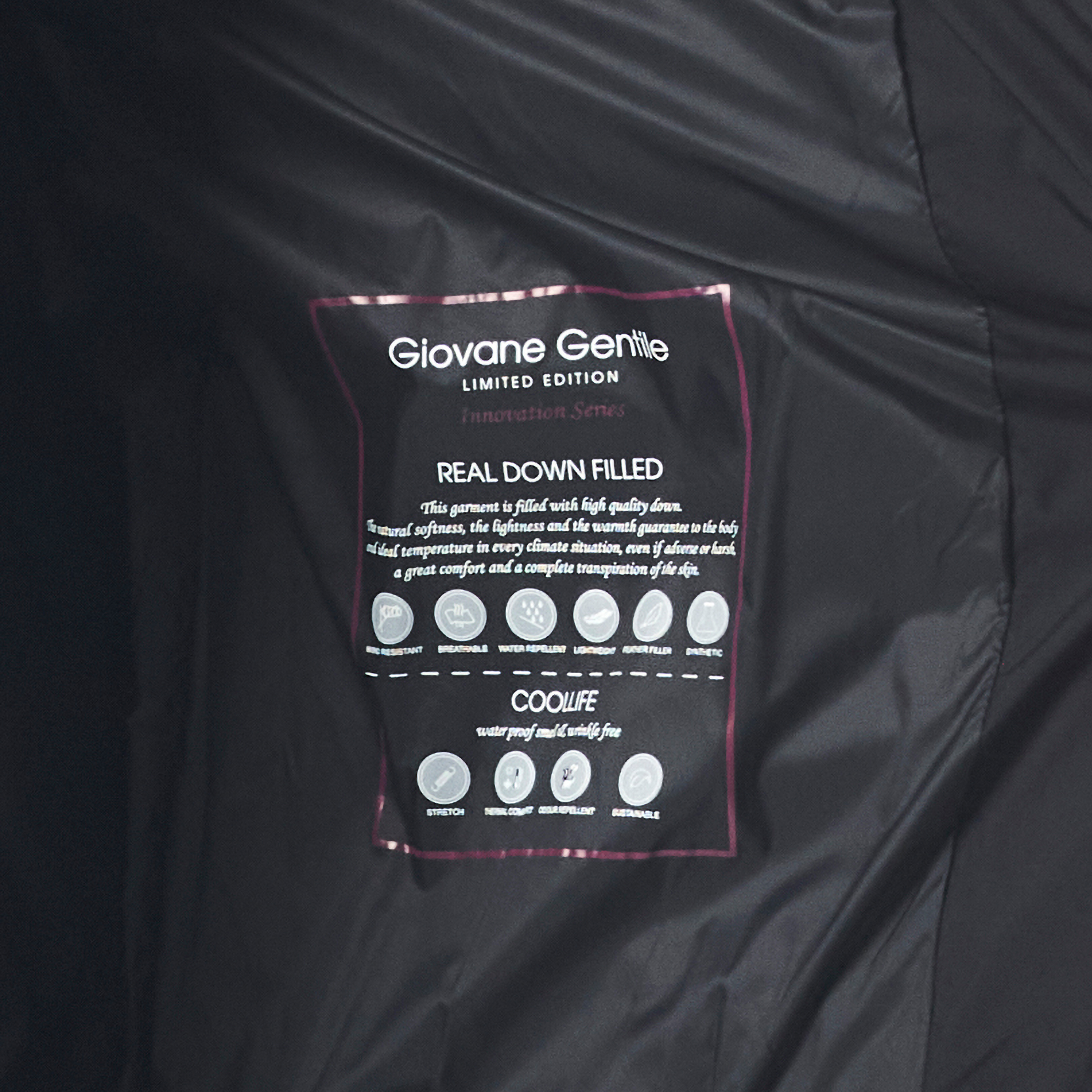 Picture of Giovane Gentile Coat Jacket
