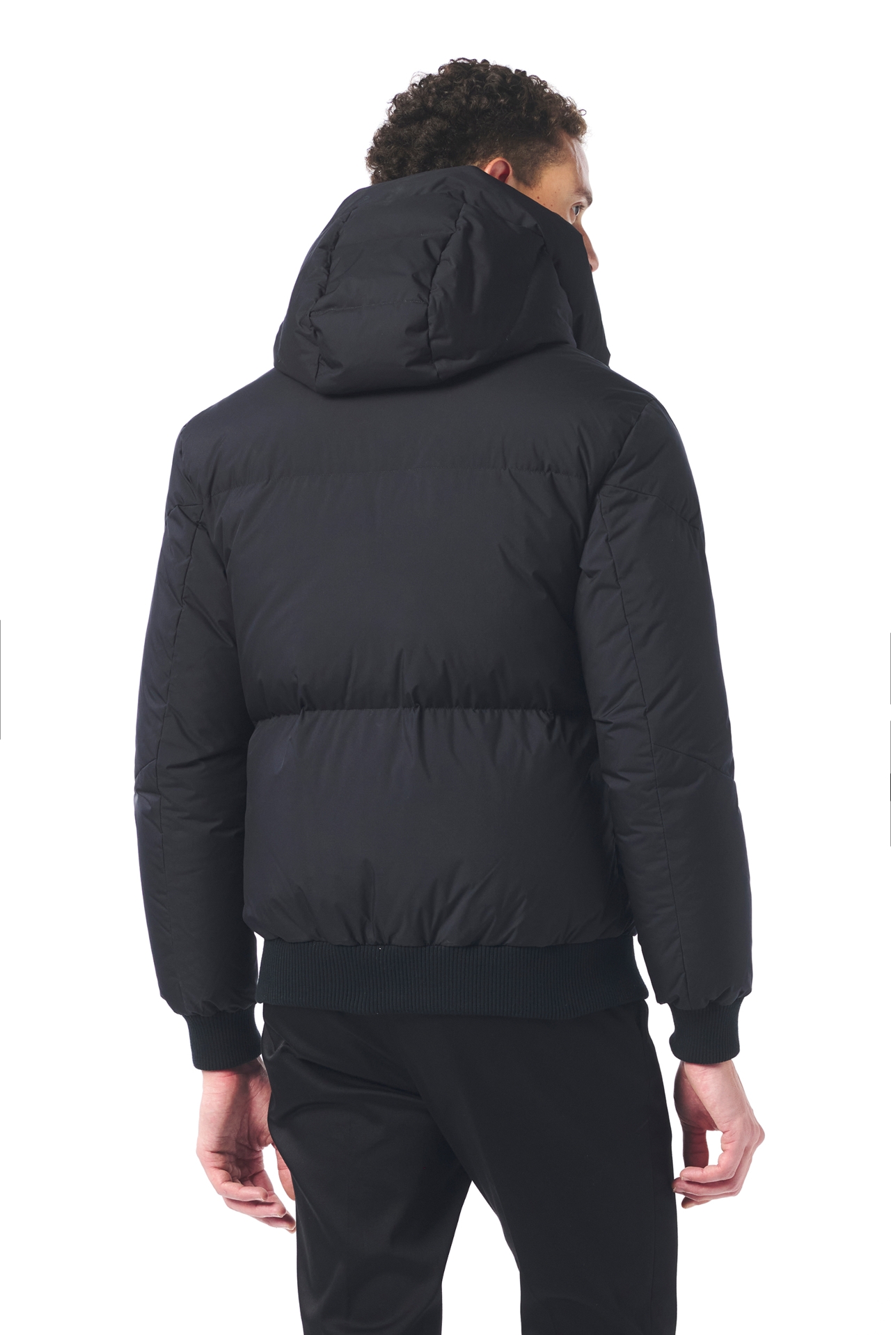 Picture of Giovane Gentile Coat Jacket