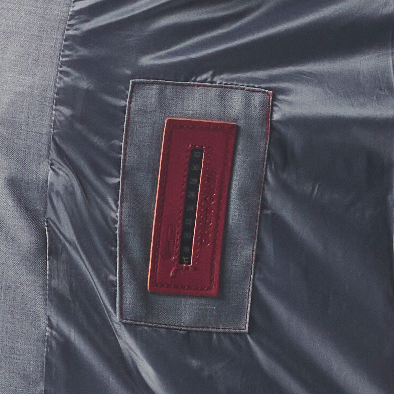 Resim Giovane Gentile Yelek/Mont