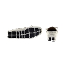 Picture of Giovane Gentile Shoes