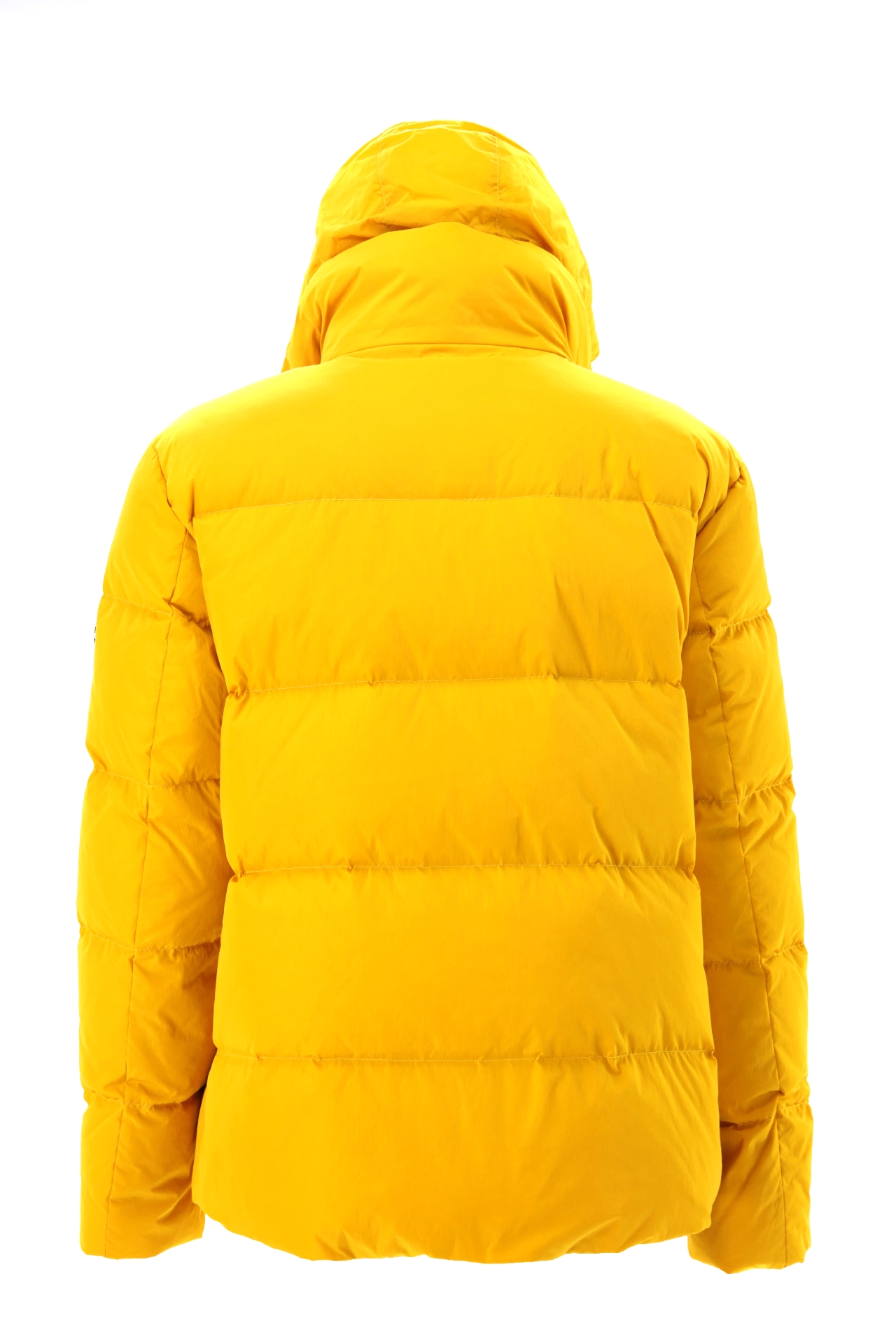 Picture of Giovane Gentile Coat Jacket
