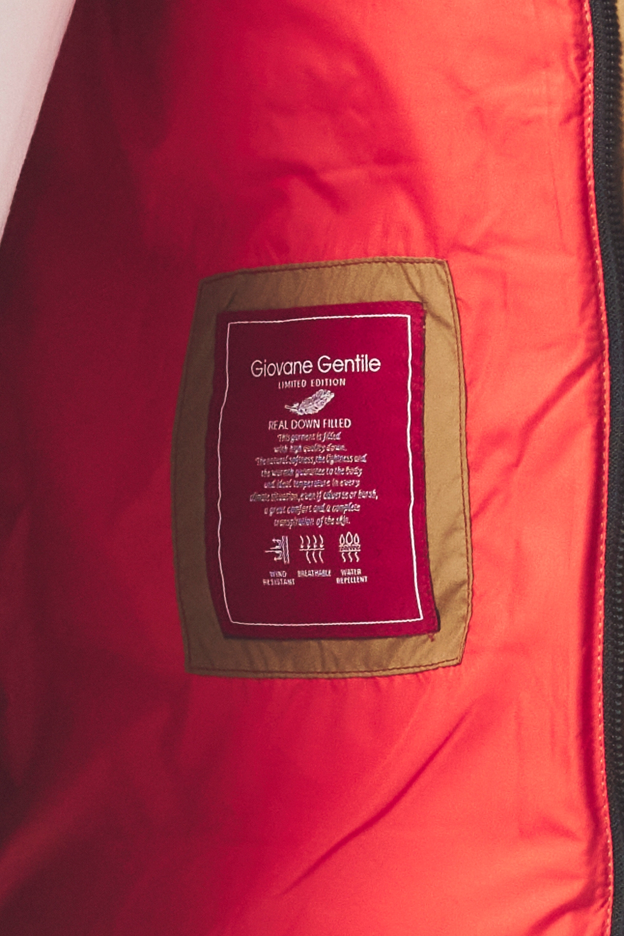 Picture of Giovane Gentile Vest/Coat
