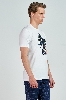 Picture of Giovane G. Designers T-shirt