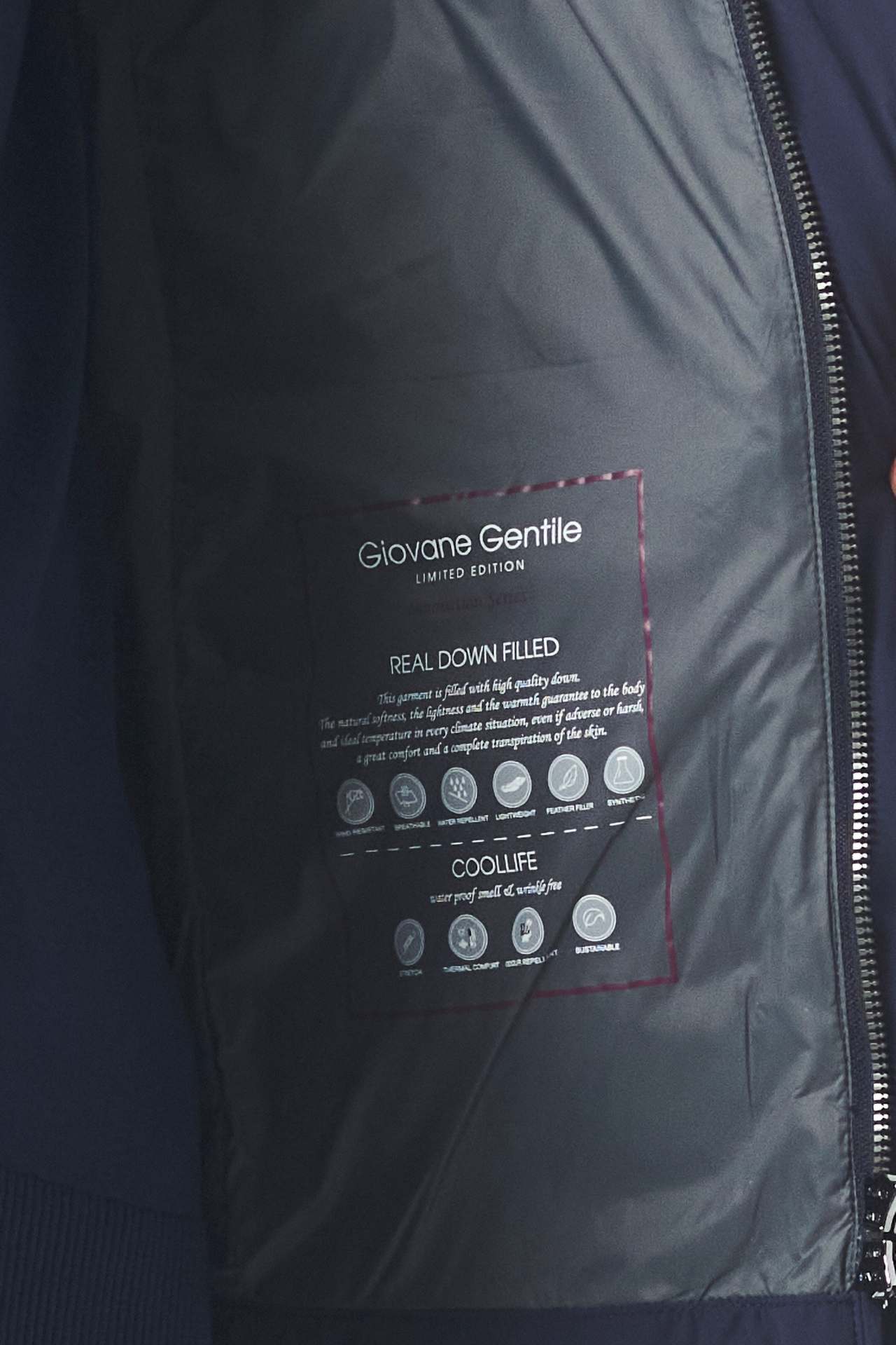 Picture of Giovane Gentile Coat Jacket