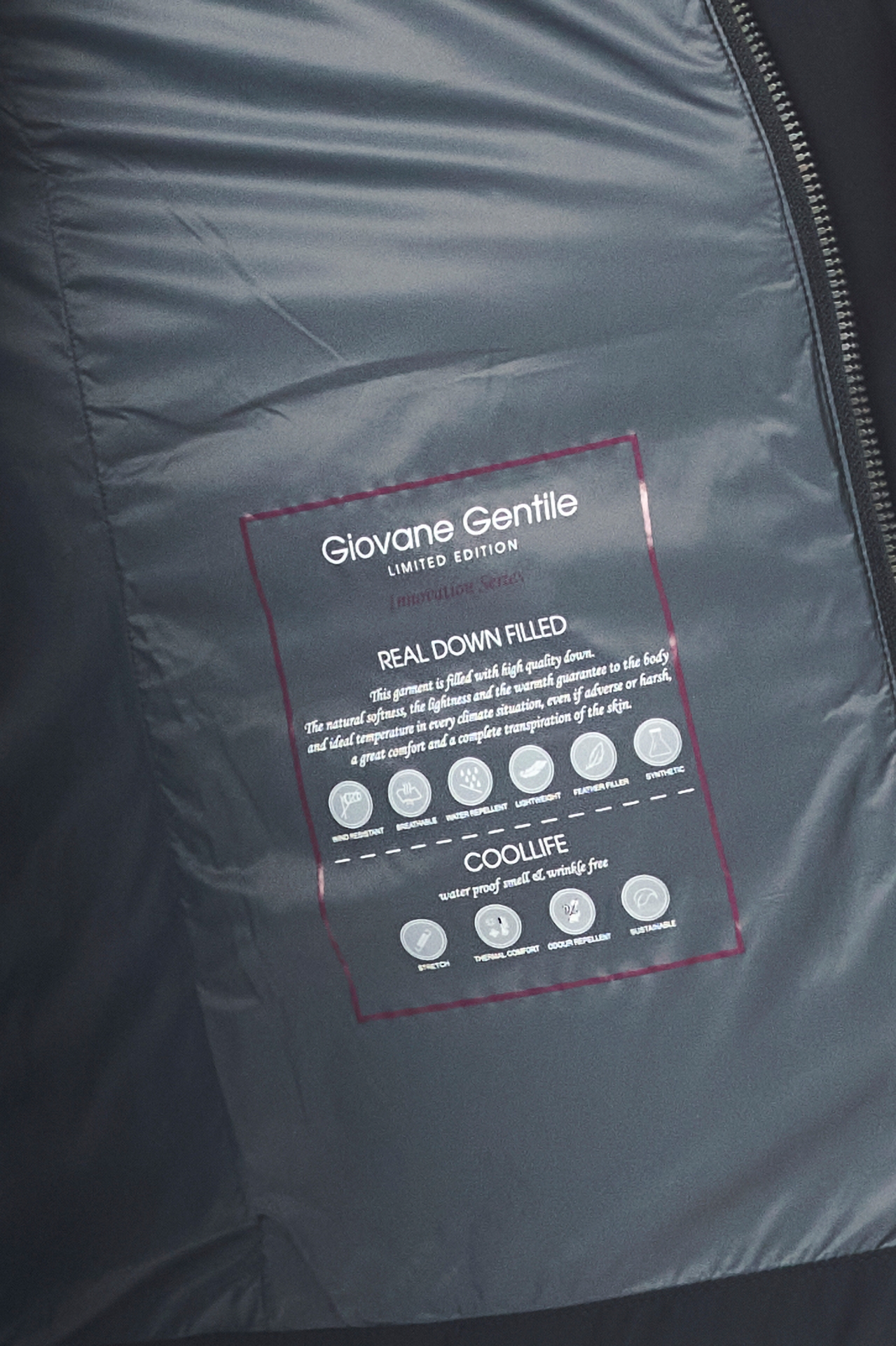 Picture of Giovane Gentile Coat Jacket