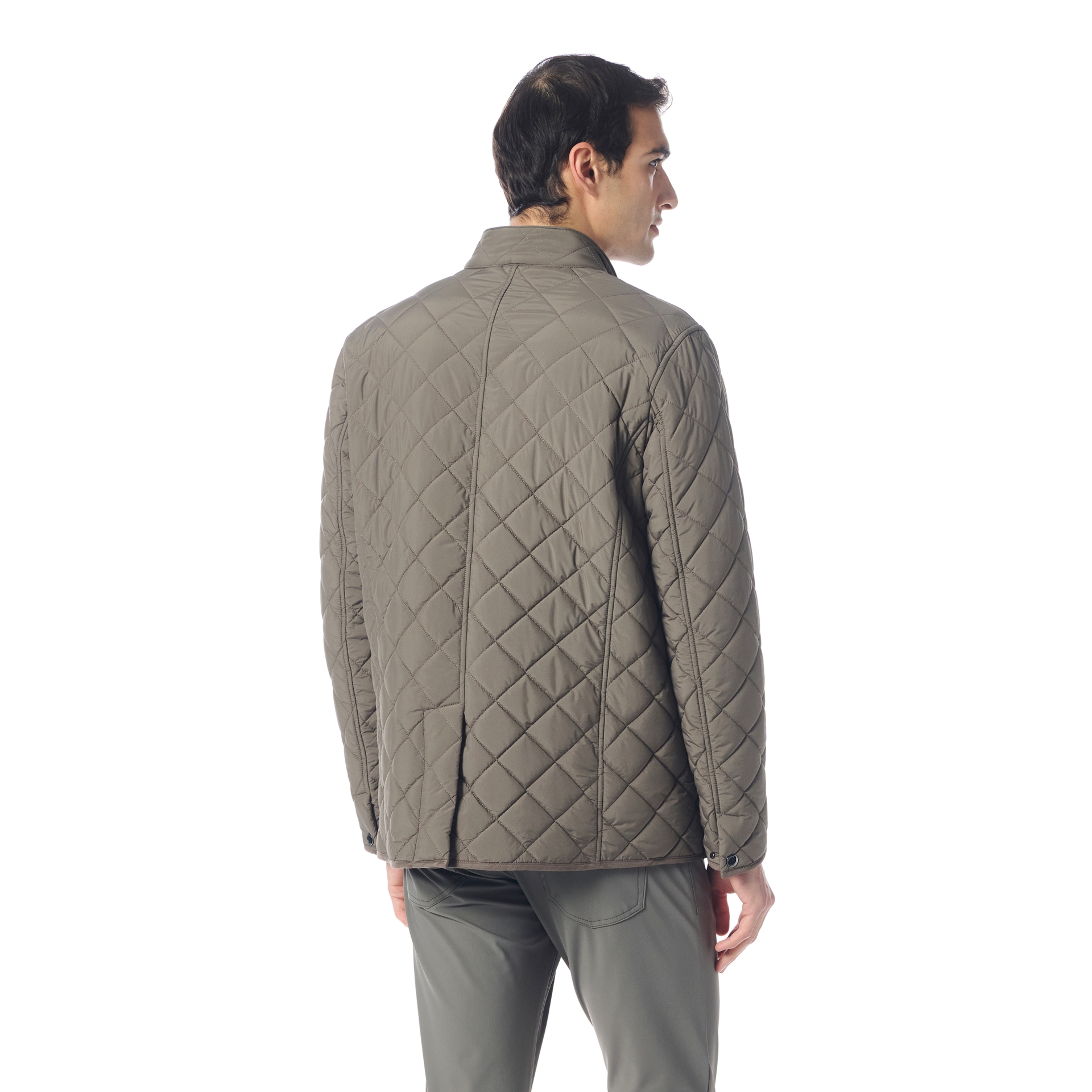 Picture of Giovane Gentile Mont / Kaban