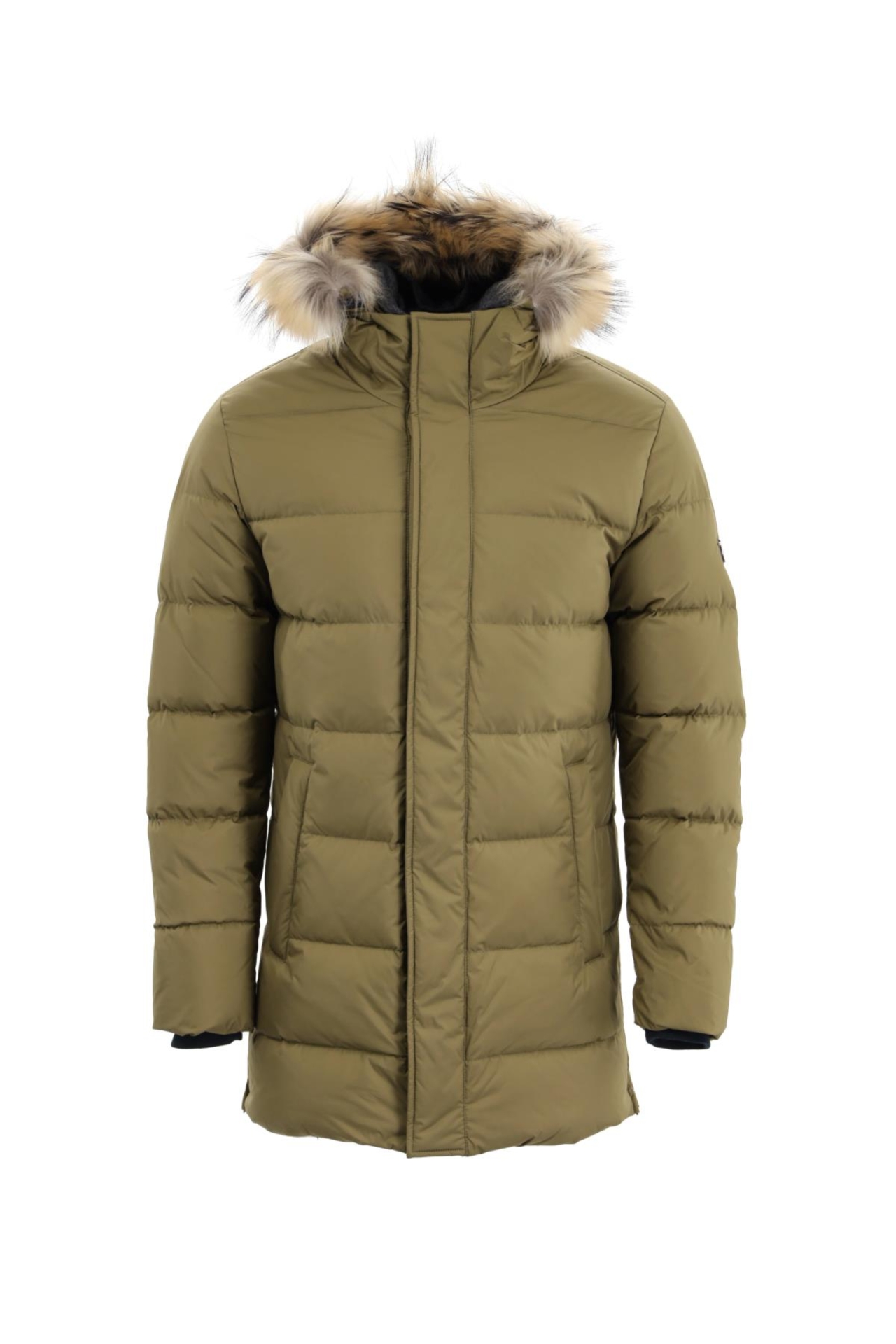 Picture of Giovane Gentile Coat Jacket